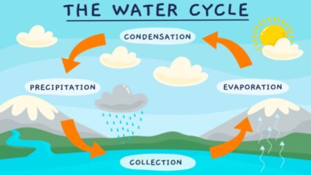 The Water Cycle