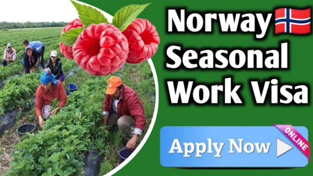 Norway job